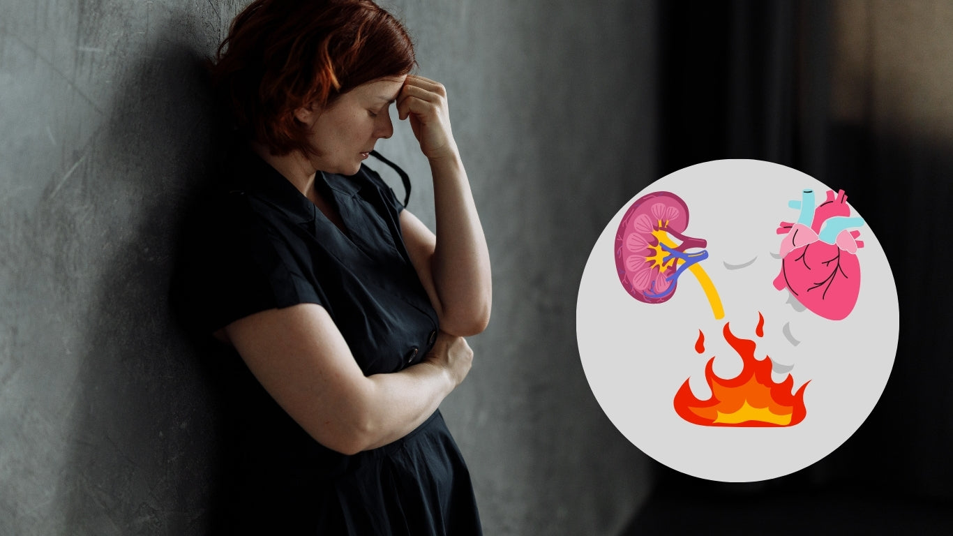 Chronic stress doesn’t just drain your energy — it quietly damages your kidneys.